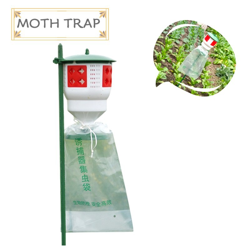 521 MOTH TRAP1