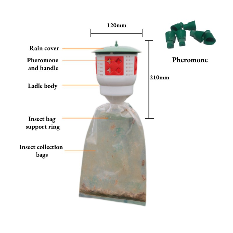 product-800-800 product-800-800